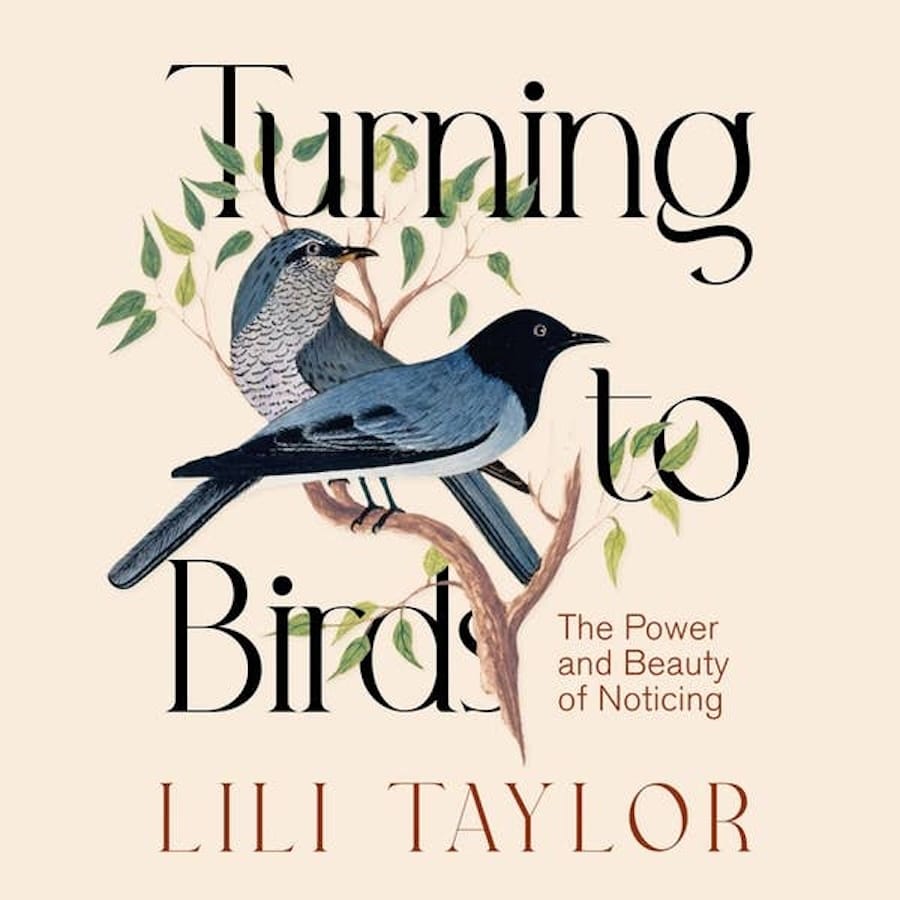 Awe For The Birds