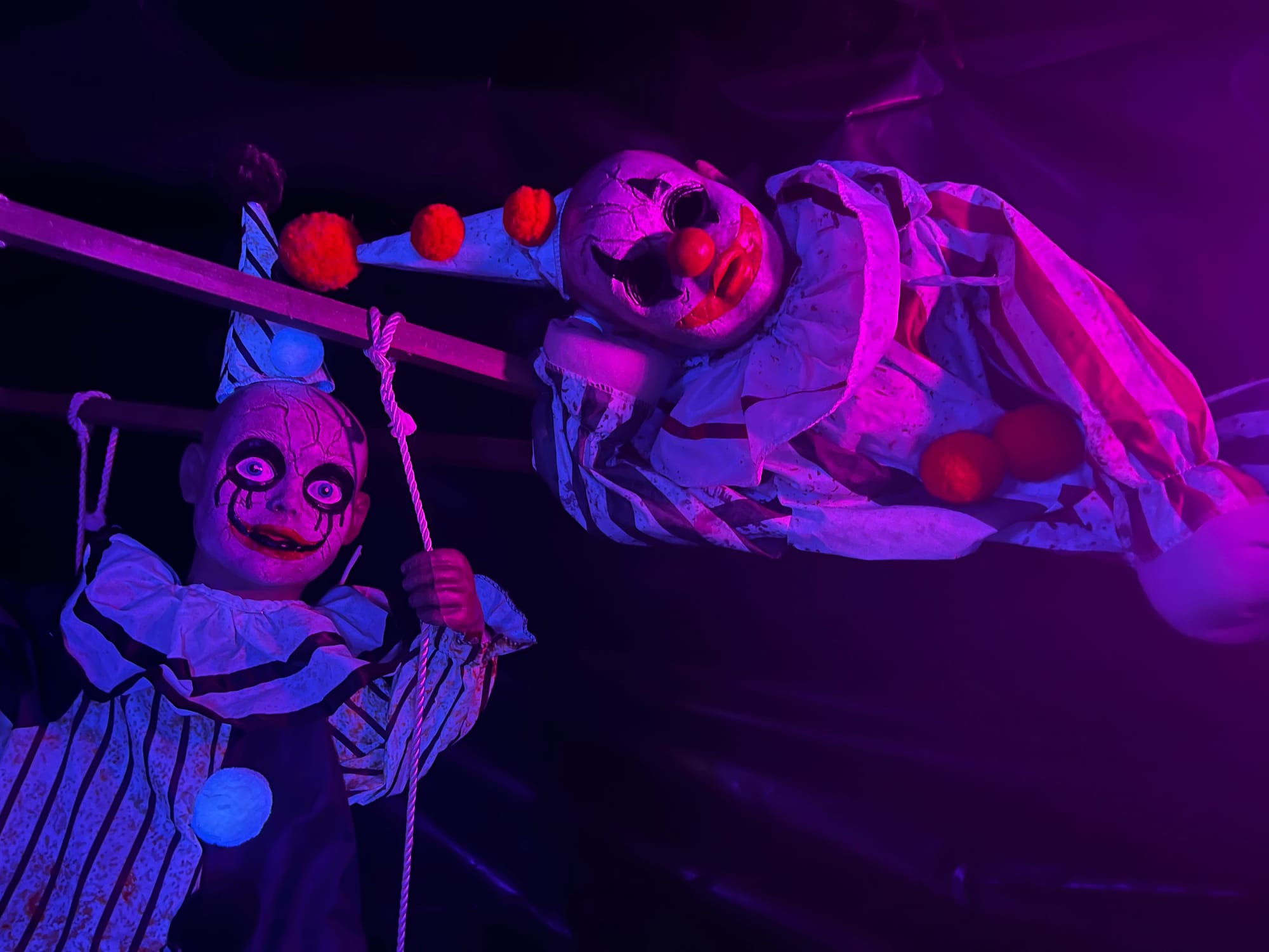 Pumpkins and the Paranormal