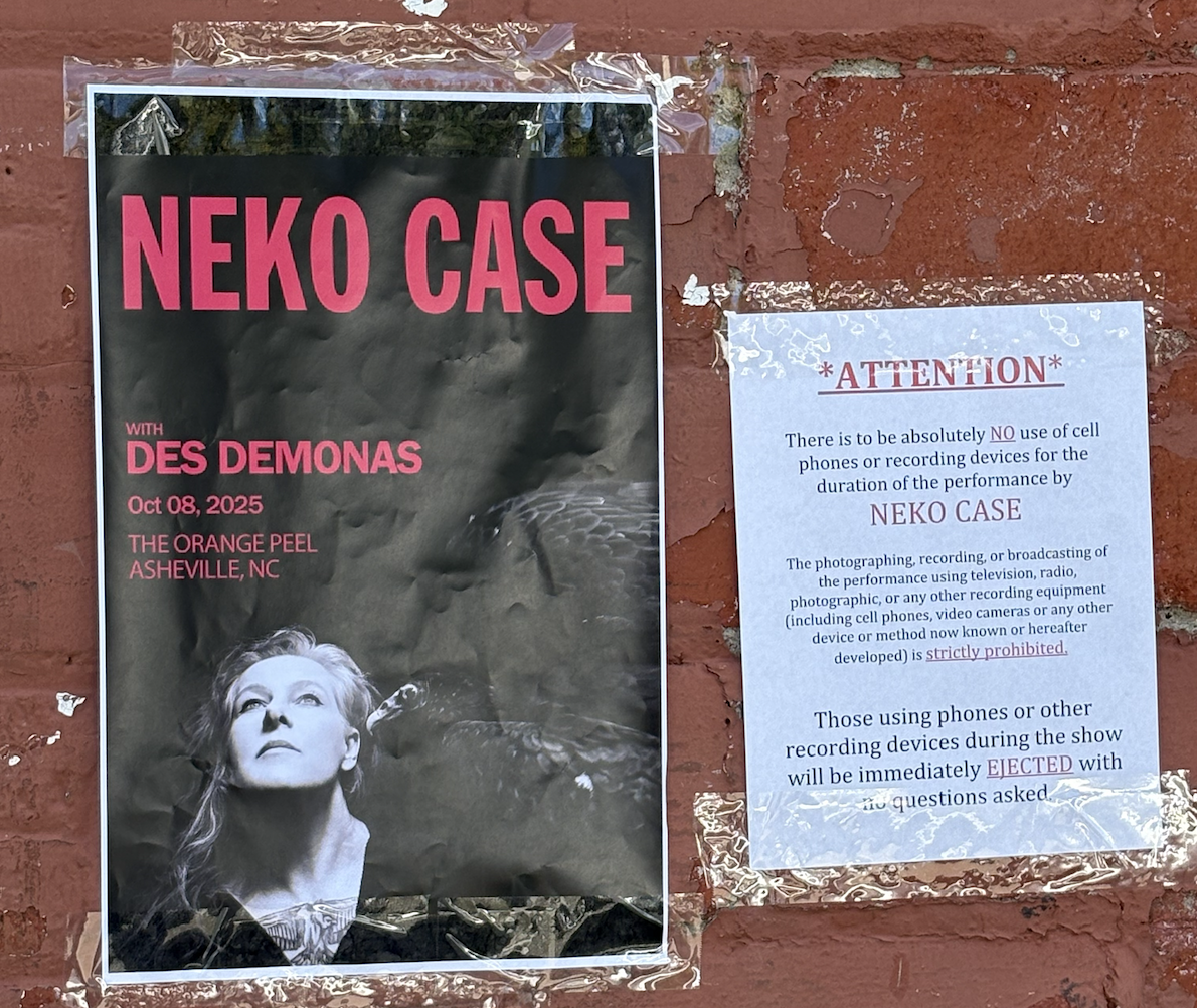 Neko Case Hits A New Stride