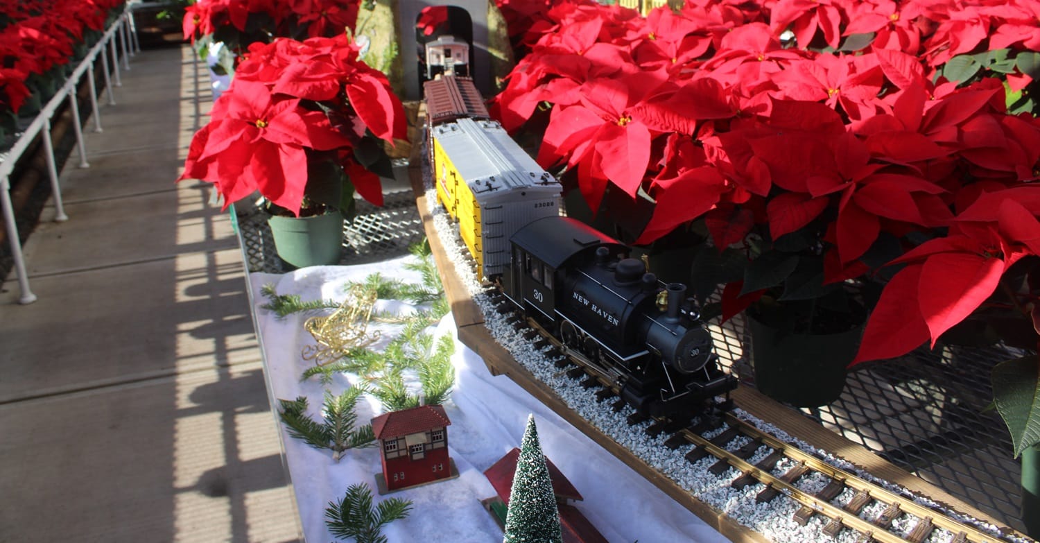 Two Tracks For Trolleys