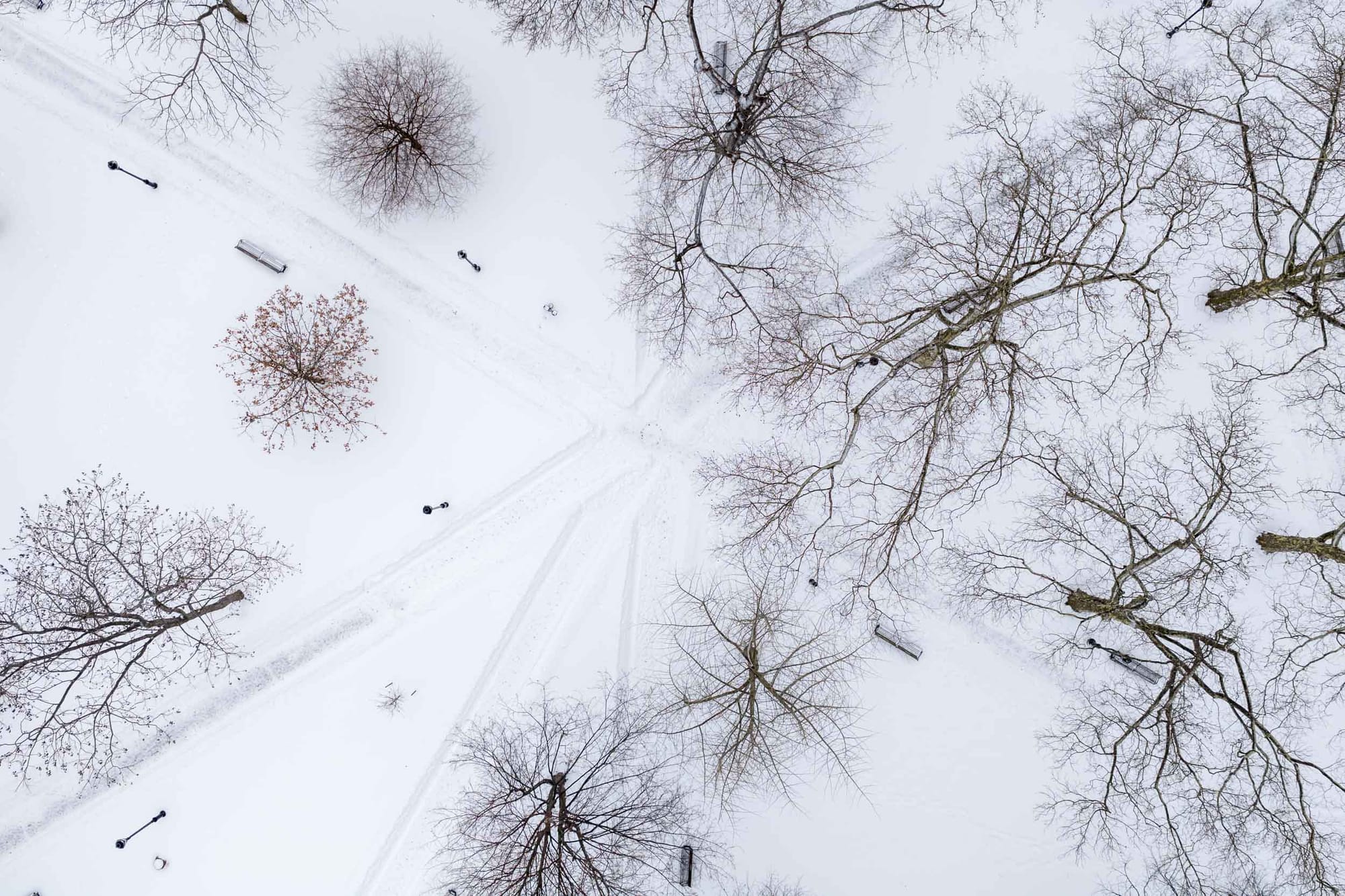 Post-Storm Sky-Eye View