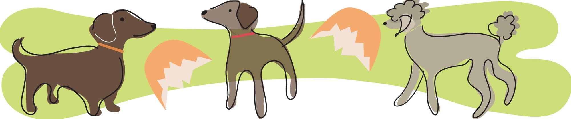 Ivy Dishes On Dog Bites