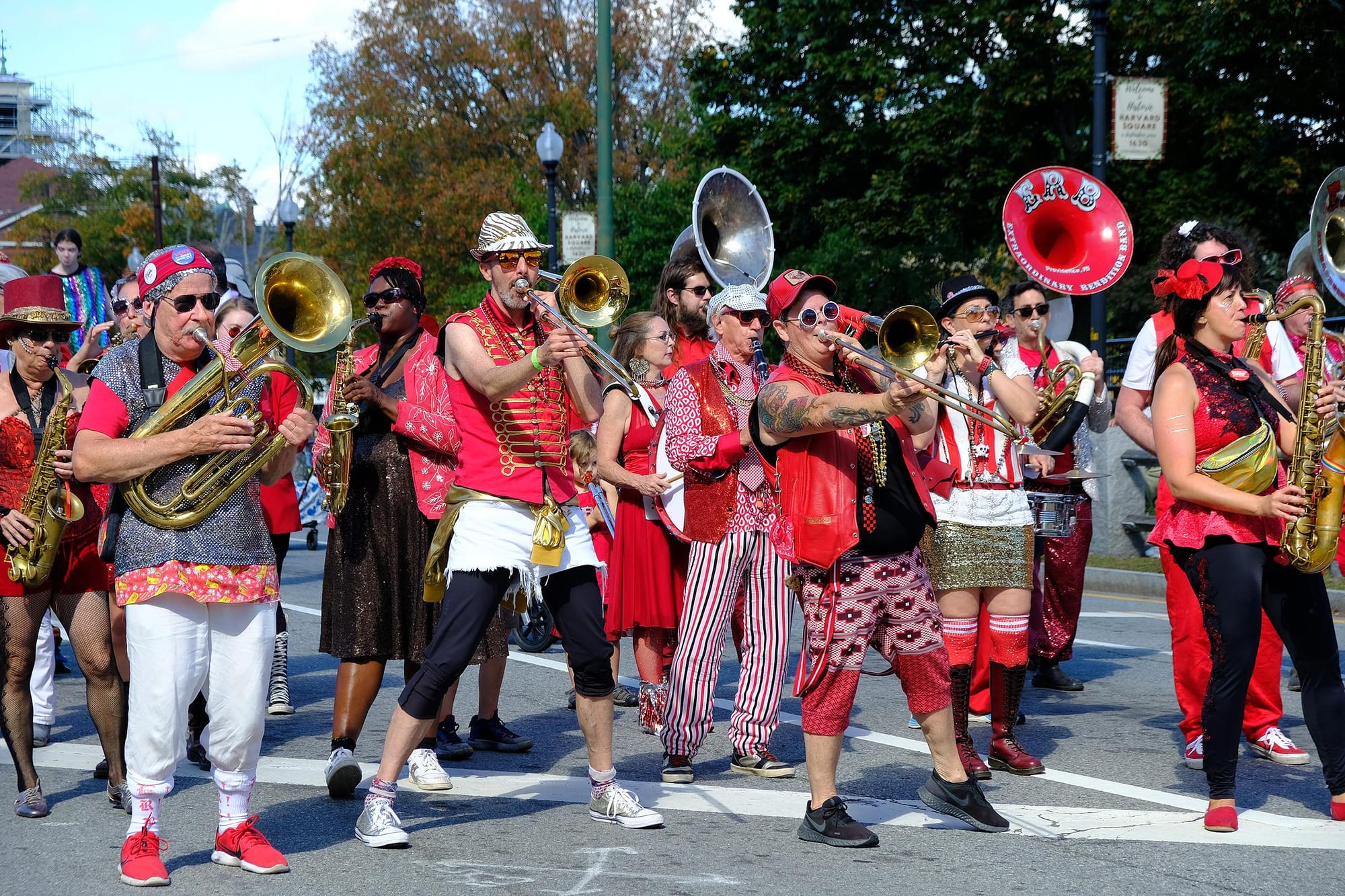 HONK!ers Make The Right Kind Of Noise