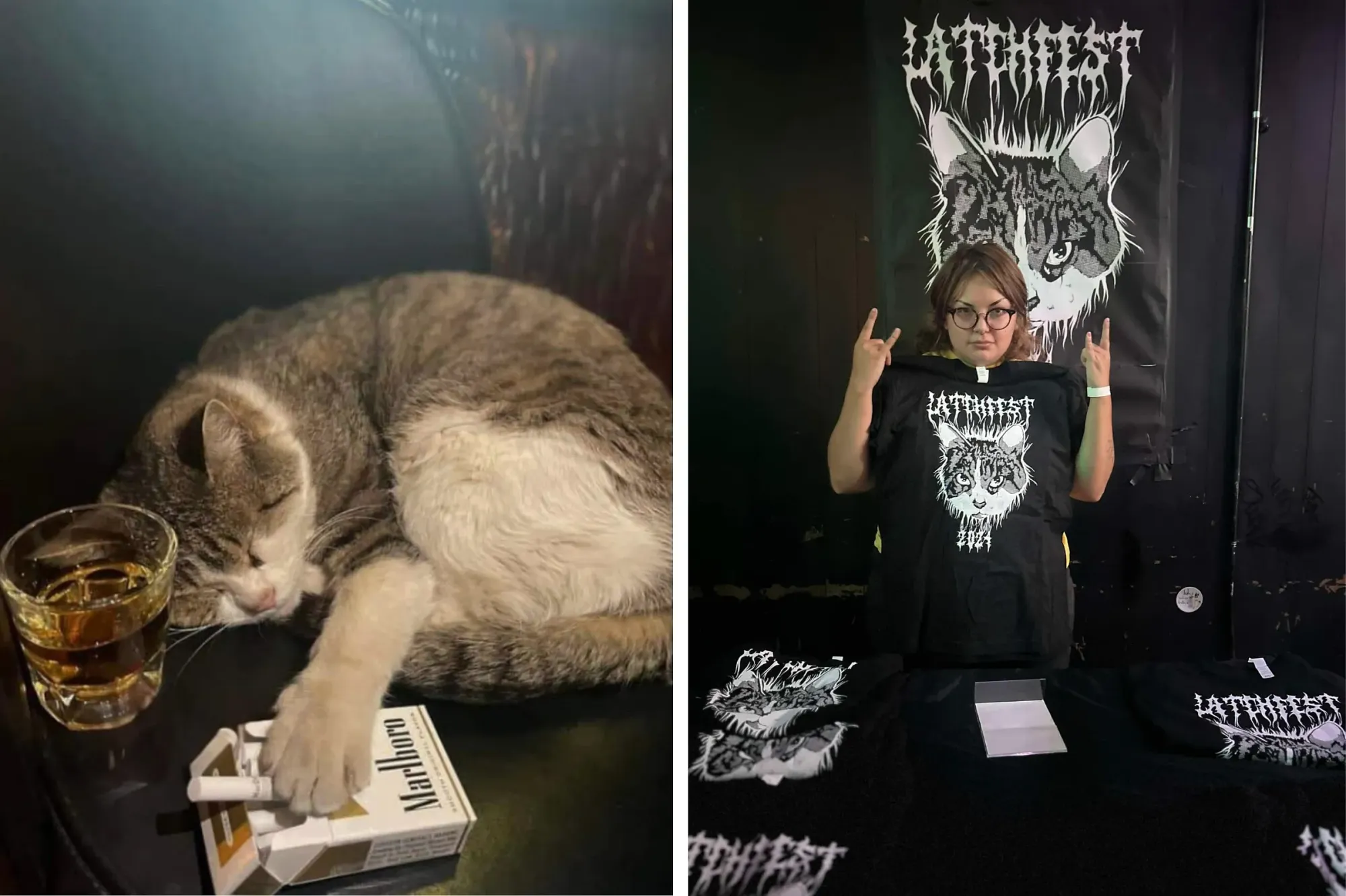 “Latch Is Love”: Beloved Bar Cat Honored With Second Annual Bar Fest