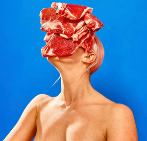 Hey Erector Square: Who You Calling Meat Face?