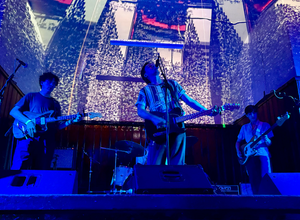 Make Way for Ducks Ltd.