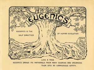 "Elimination Of The Unfit"