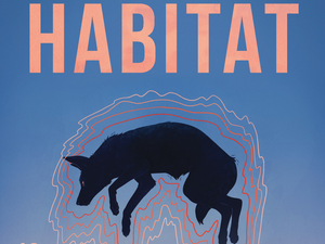 Collective Misery, Full of Love