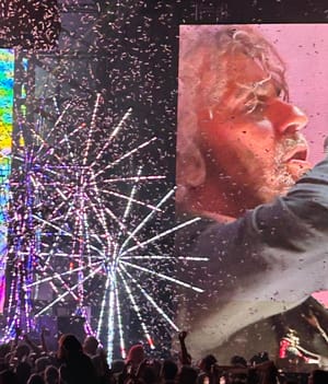 The Flaming Lips, Brilliantly Frivolous, Party On