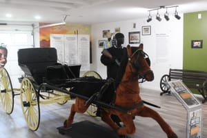 Stagecoach Mary Was No Joke