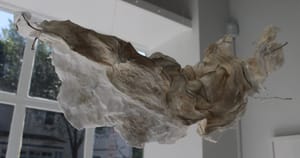 City Gallery Opens Its Studio