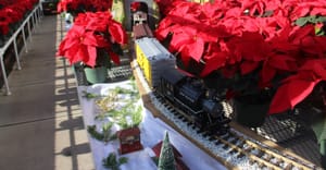 Two Tracks For Trolleys