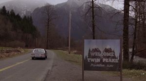 Twin, Where Have You Been?