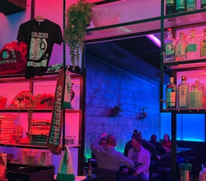 Drowning In Duck Noodle Soup