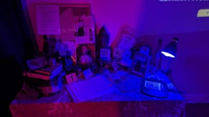 When The Audience Comes Onstage