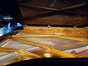 Roll Over, Steinway